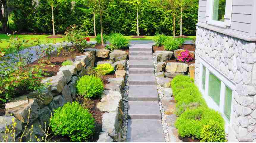 Drought-resistant landscaping with native Texas plants